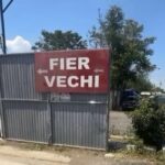 Fotografie cu Albert Collection